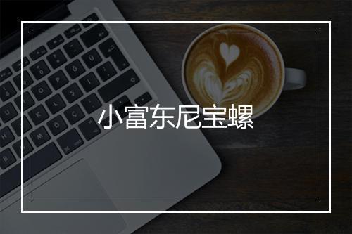 小富东尼宝螺