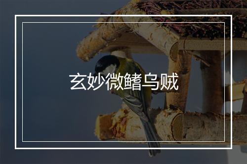 玄妙微鳍乌贼