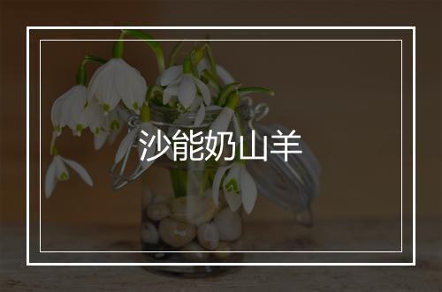 沙能奶山羊