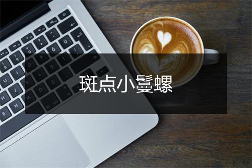 斑点小鬘螺