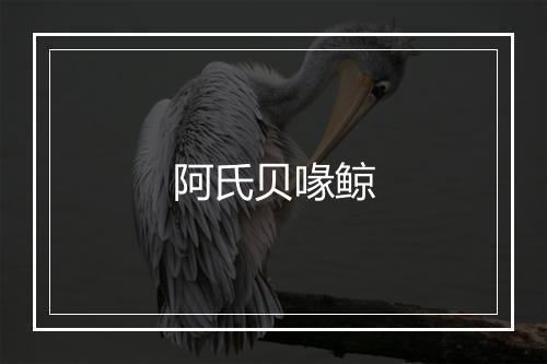 阿氏贝喙鲸