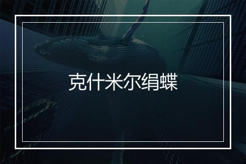 克什米尔绢蝶