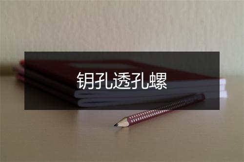 钥孔透孔螺