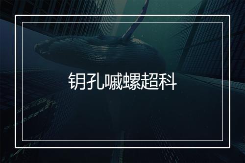 钥孔嘁螺超科