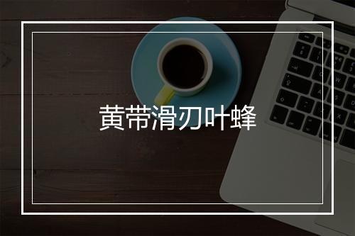 黄带滑刃叶蜂