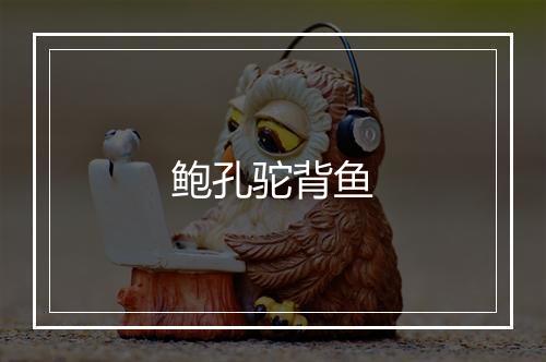 鲍孔驼背鱼