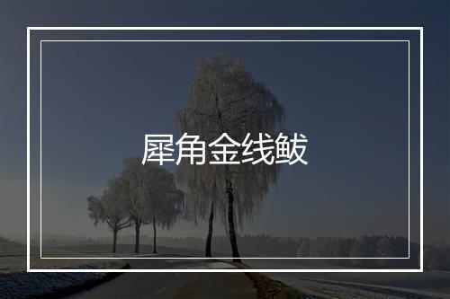 犀角金线鲅