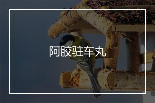 阿胶驻车丸