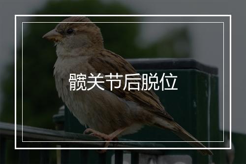 髋关节后脱位