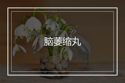 脑萎缩丸